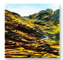 ��ɫ����